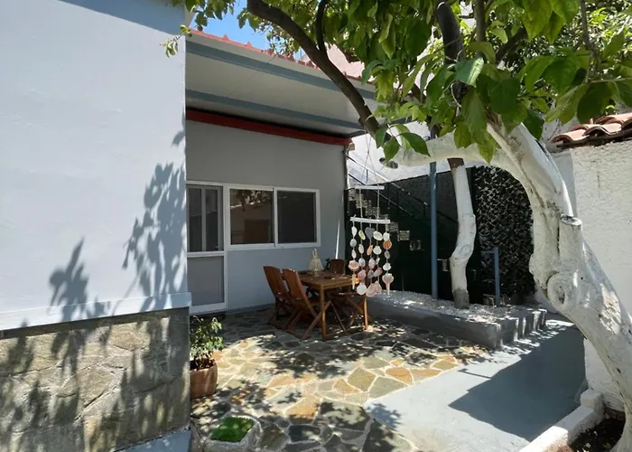 Lemon Yard *